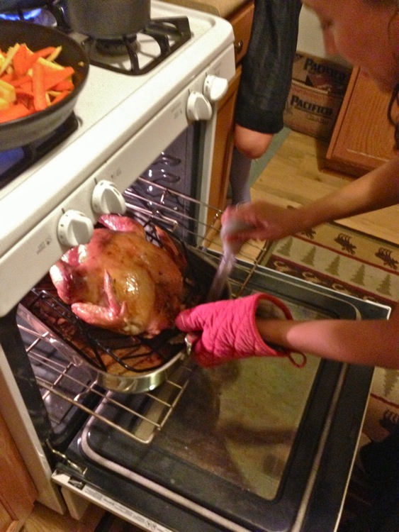 Turkey out of the oven Turkey out of the oven