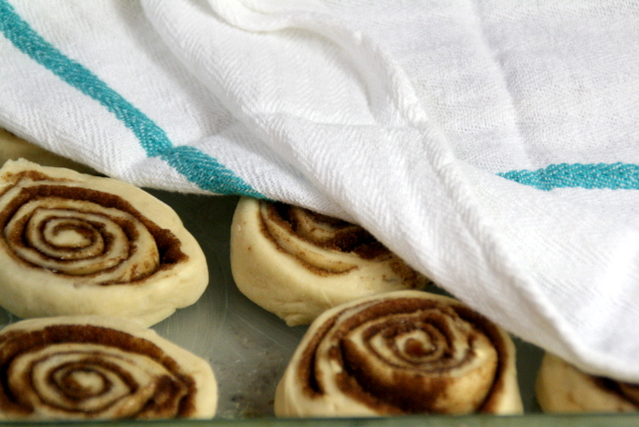cinnamon rolls-resting to rise